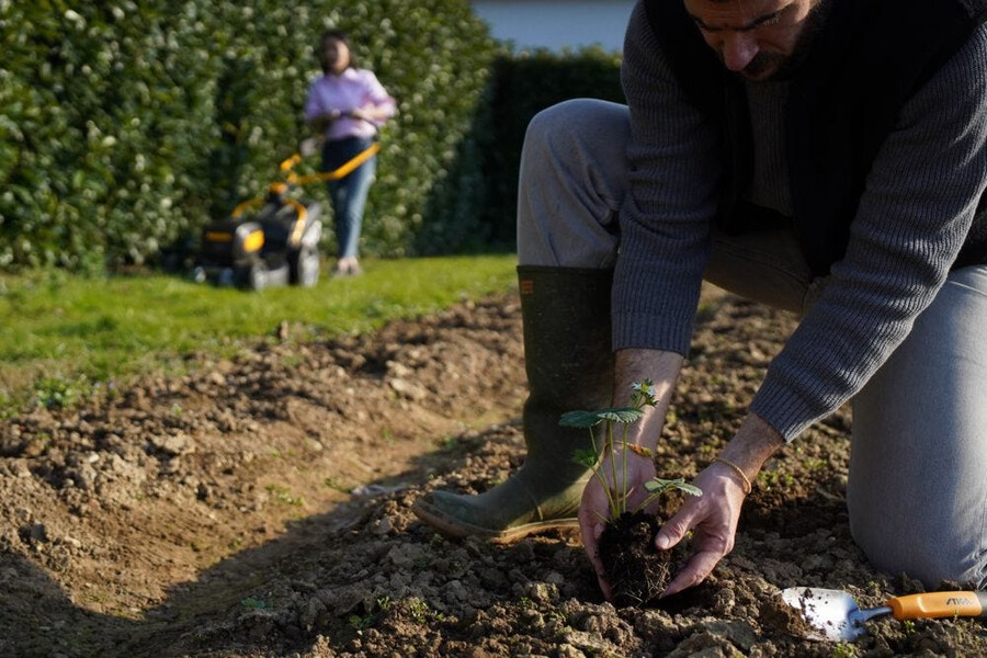 attrezzo manuale da giardino - cazzuola trapiantatrice