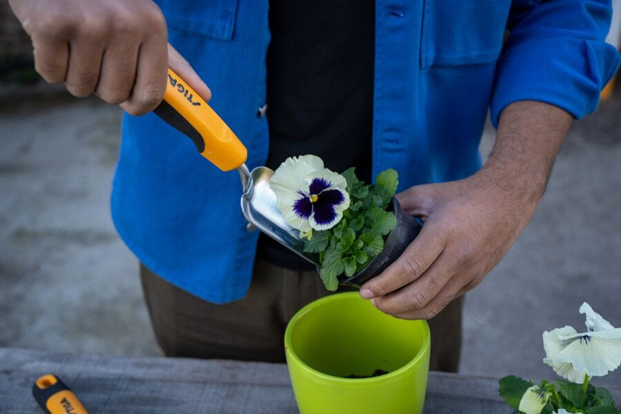 attrezzo manuale da giardino - cazzuola trapiantatrice